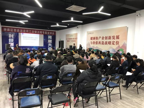 柳南區(qū)舉辦勞務(wù)派遣用工法律法規(guī)專題宣講會，助力互聯(lián)網(wǎng)信息服務(wù)行業(yè)規(guī)范發(fā)展